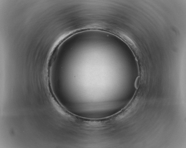 X0000115610800200911101426