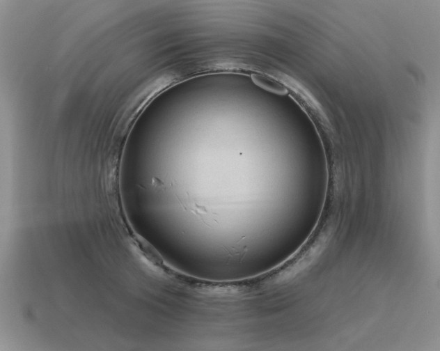 X0000115610801200911101426