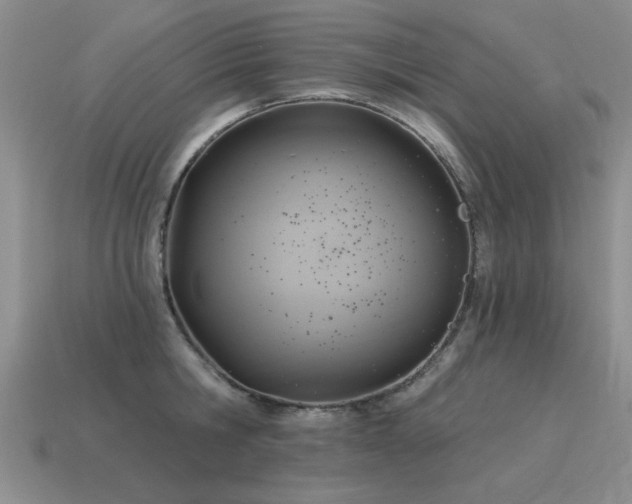 X0000115610806200911101426