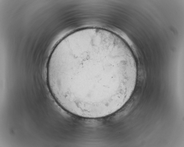 X0000115610807200911101426