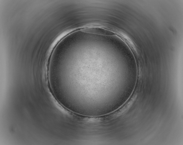 X0000115610808200911101426