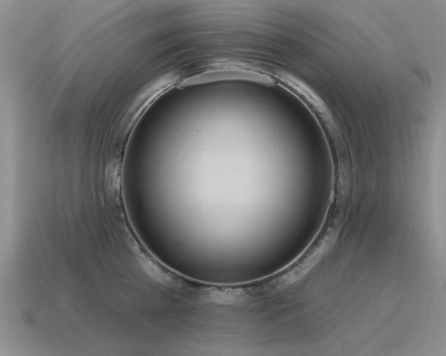 X0000115610809200911101426