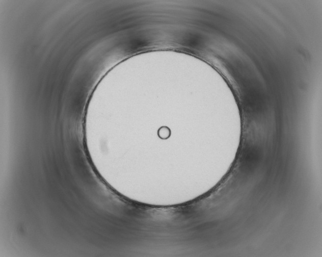 X0000115610810200911101426