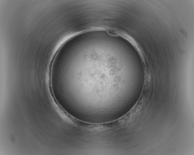 X0000115610811200911101426