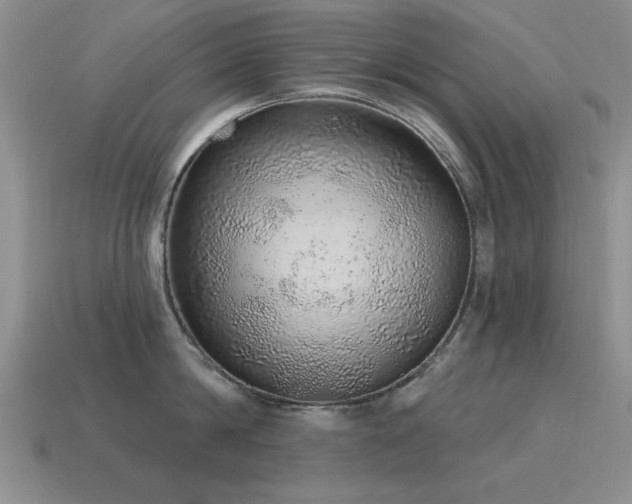 X0000115610814200911101426