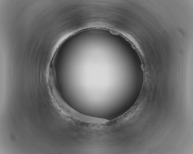 X0000115610815200911101426