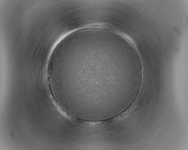 X0000115610816200911101426