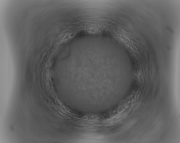 X0000115610817200911101425