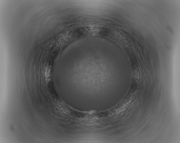 X0000115610818200911101425