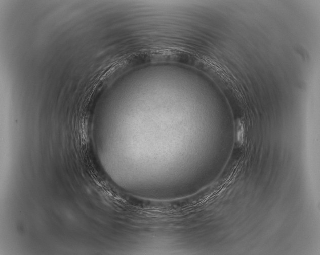 X0000115610819200911101425