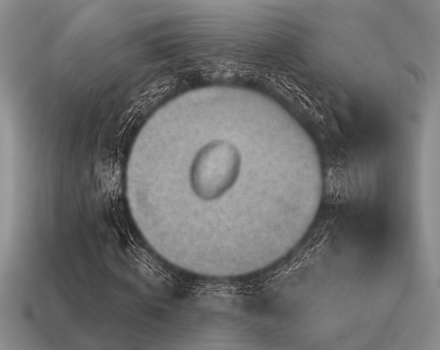 X0000115610820200911101425