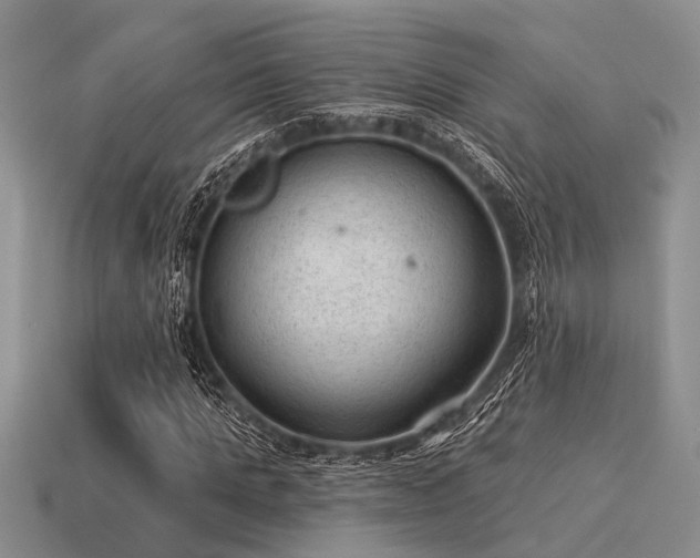 X0000115610821200911101425