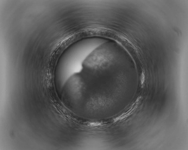 X0000115610822200911101425