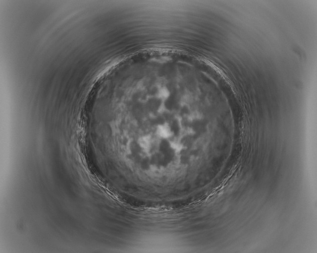 X0000115610823200911101425