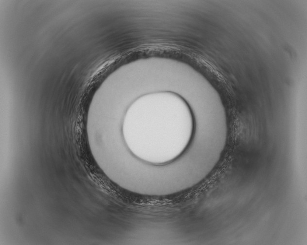 X0000115610824200911101425