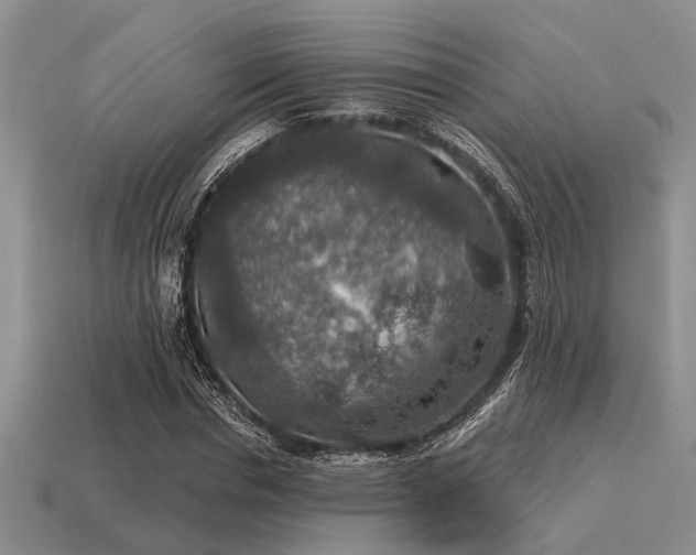 X0000115610826200911101425