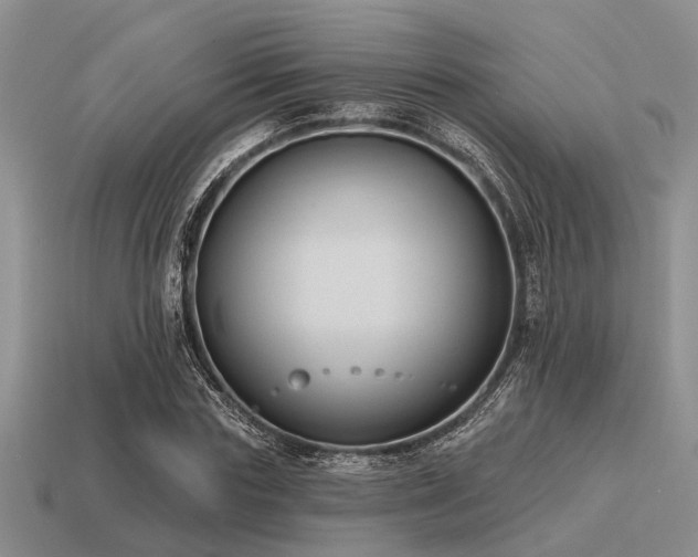 X0000115610827200911101425