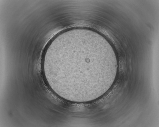 X0000115610828200911101425