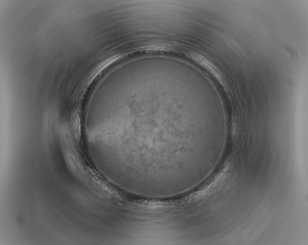 X0000115610829200911101425