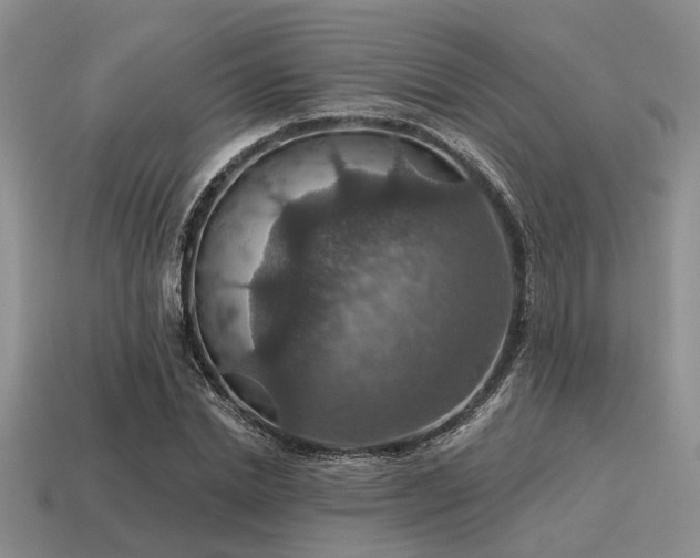 X0000115610830200911101425