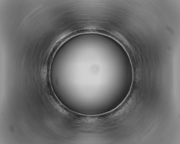 X0000115610831200911101425