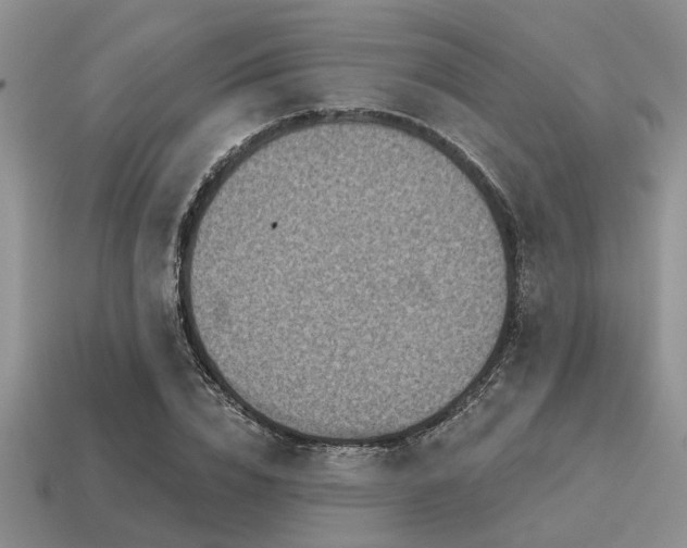 X0000115610832200911101425