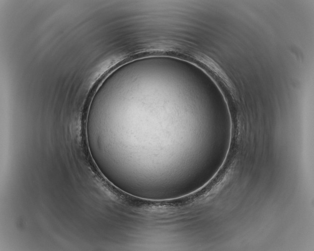 X0000115610834200911101425