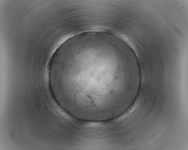 X0000115610835200911101425