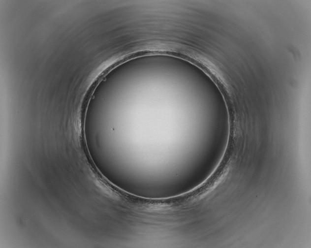 X0000115610837200911101425