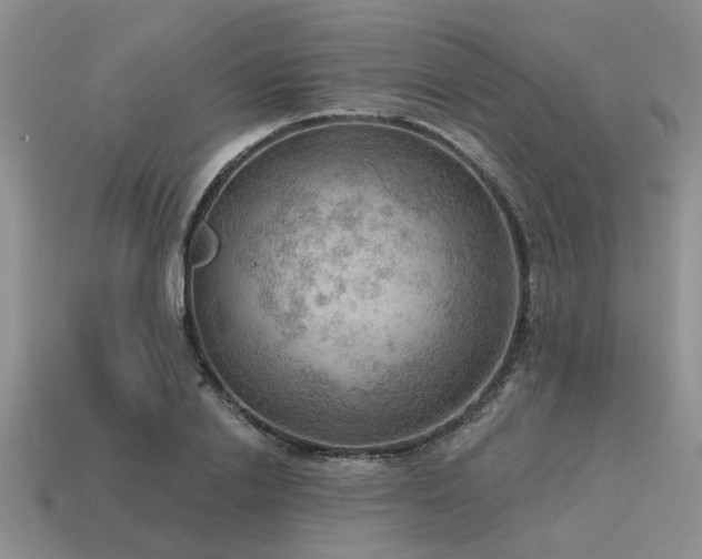 X0000115610838200911101425