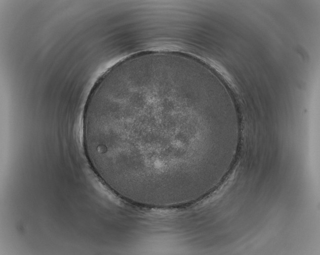 X0000115610840200911101425