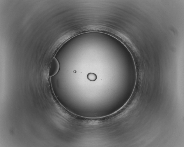 X0000115610841200911101425