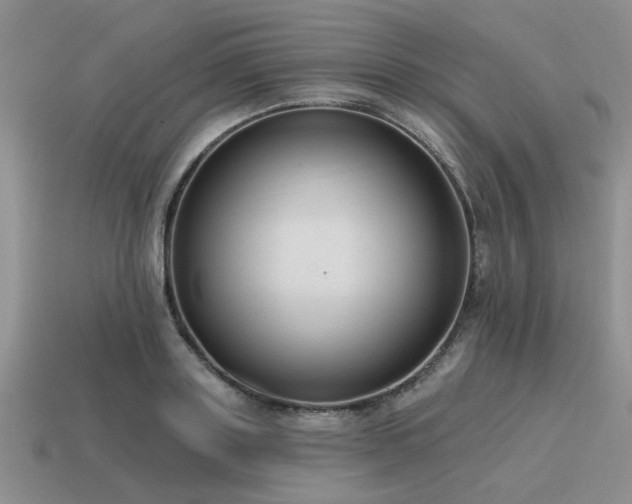 X0000115610843200911101425