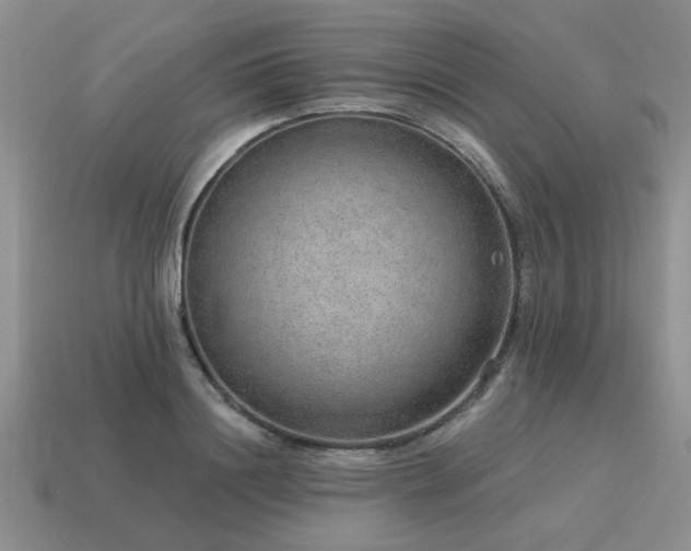 X0000115610844200911101425