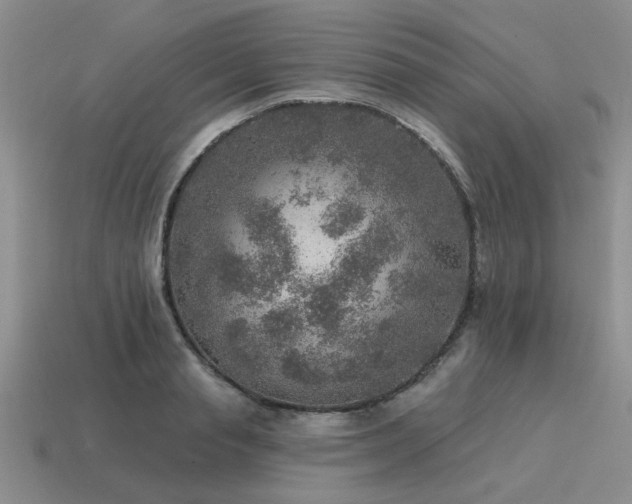 X0000115610845200911101425