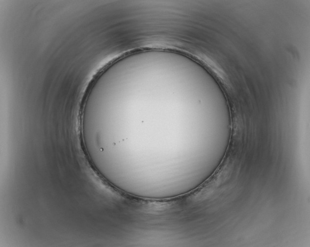 X0000115610848200911101426