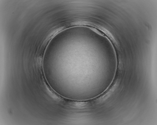 X0000115610849200911101426