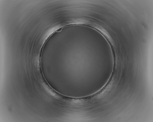 X0000115610850200911101426