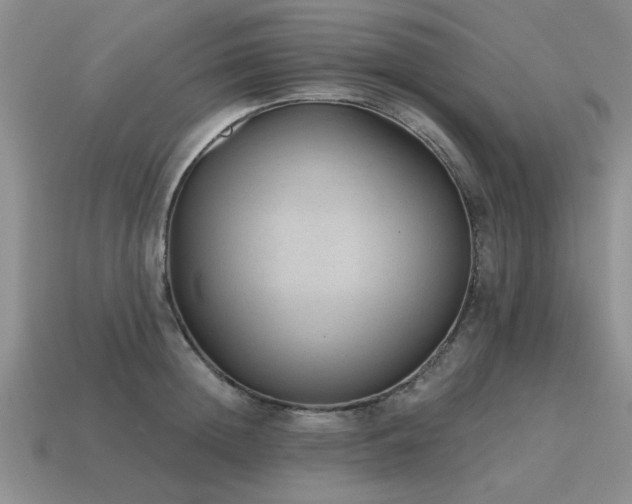 X0000115610852200911101426