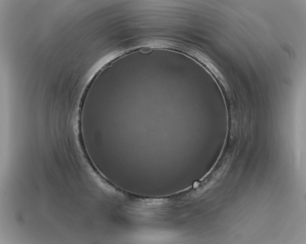 X0000115610853200911101426