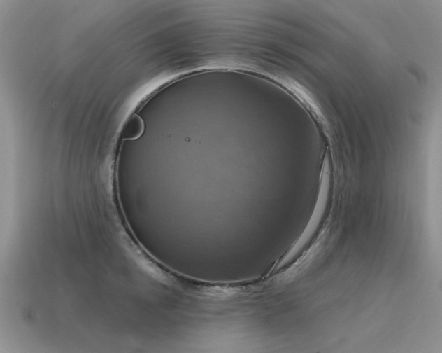 X0000115610854200911101426