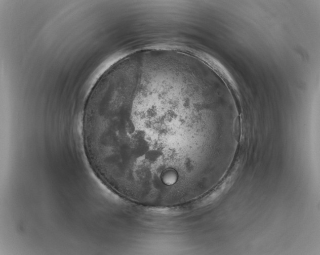 X0000115610855200911101426