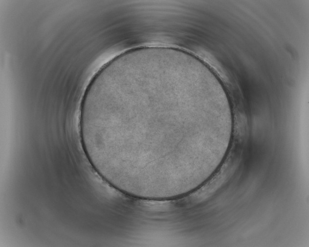 X0000115610856200911101426