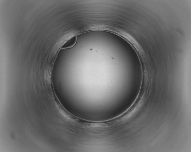 X0000115610857200911101426