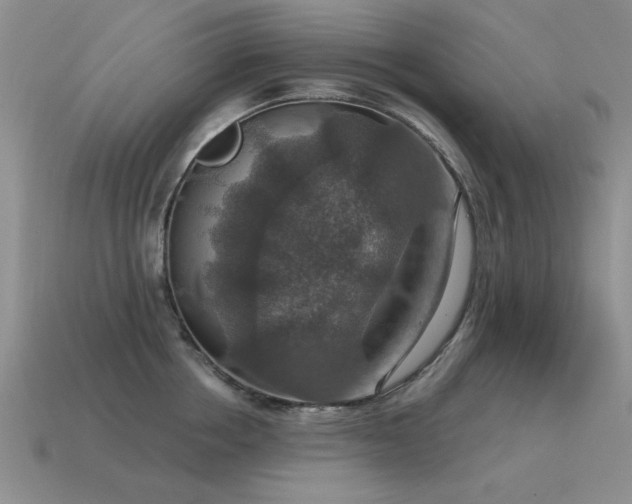 X0000115610858200911101426