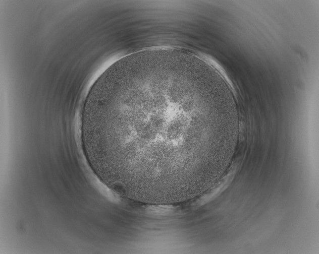 X0000115610859200911101426