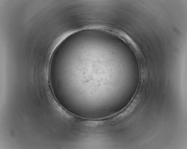 X0000115610860200911101426