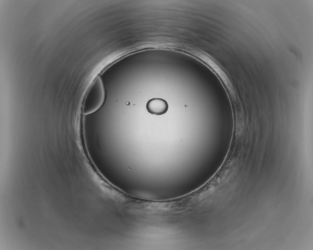 X0000115610861200911101426