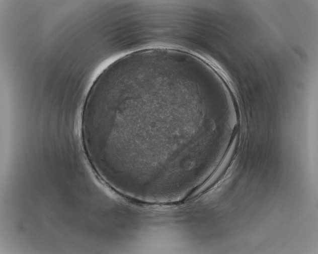 X0000115610862200911101426