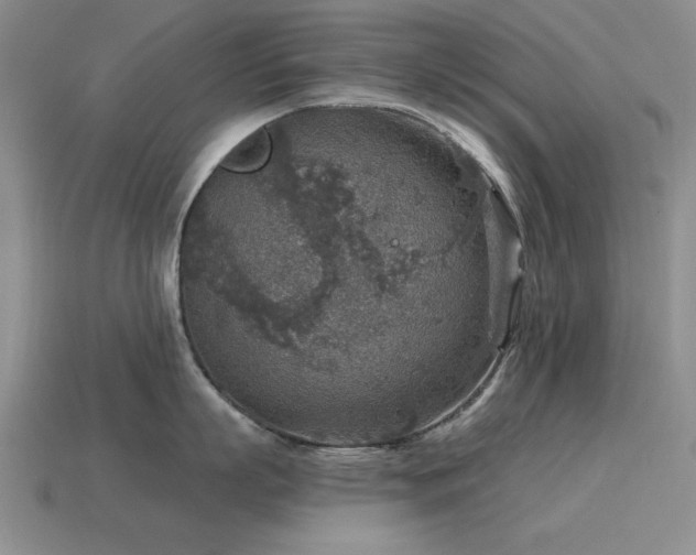 X0000115610863200911101426